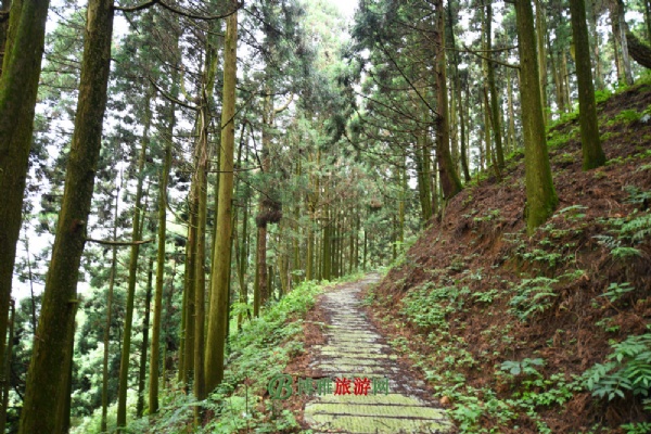 ŵ
