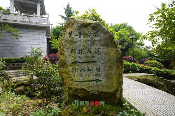 ŵ