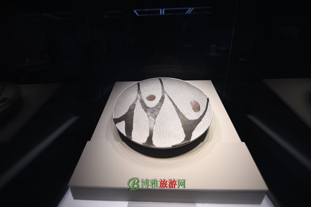 ʡ
