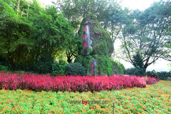 Ϸɲﾰ