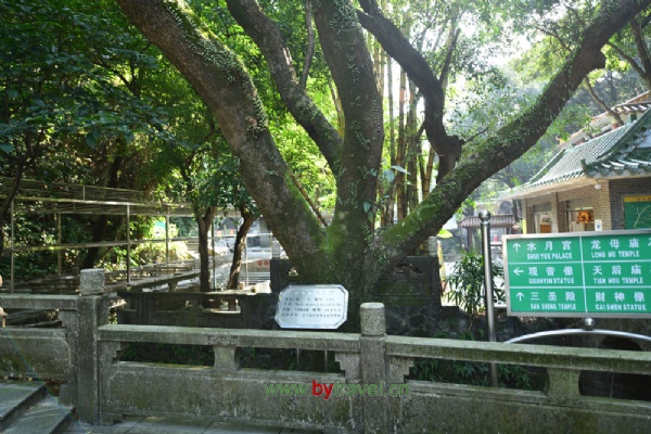 ˮ羰ʤ