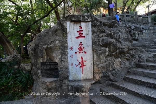 羰