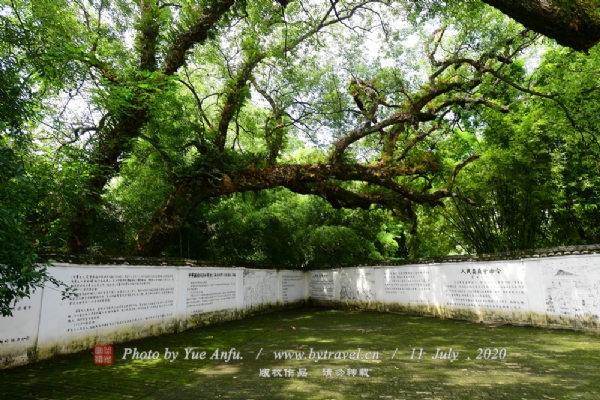 лά͹־ַ