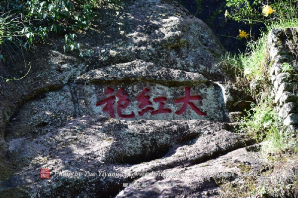 ۾