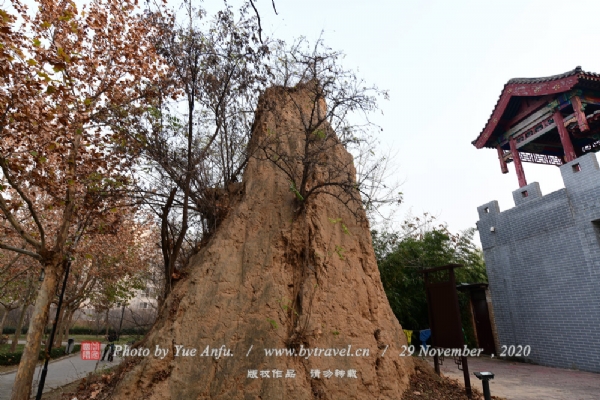 عųǽַ԰