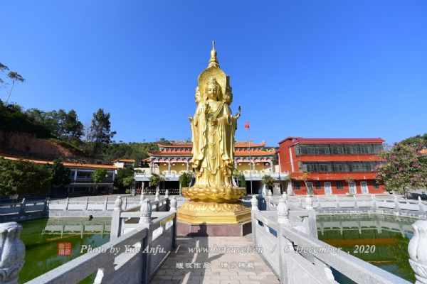 廪ƽ